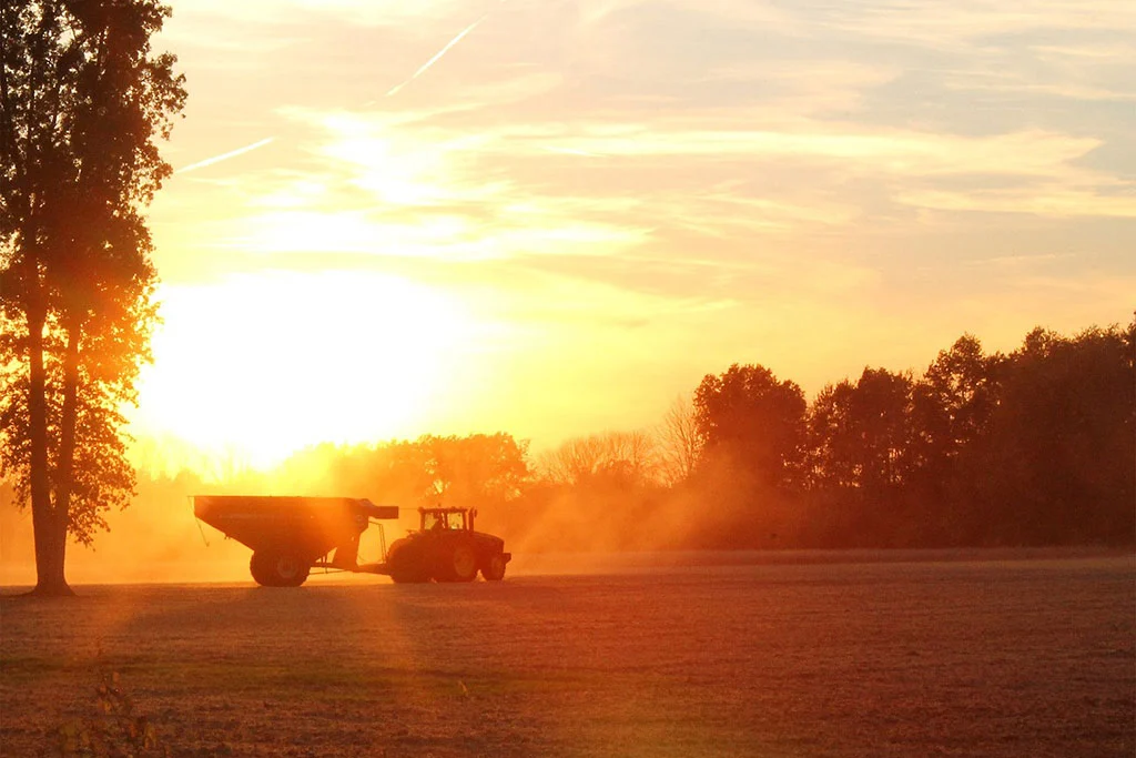 Landwirtschaftliche Maschine auf einem Feld